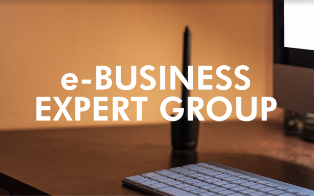 e-BUSINESS EXPERT GROUP